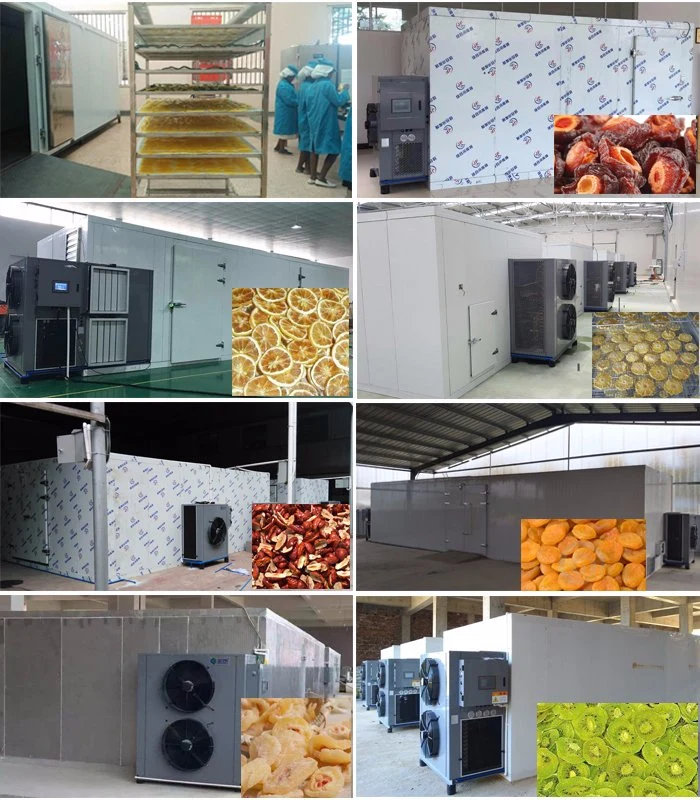 New Style Circulating Heating Automatic Food Dehydrator Banana Chips Mango Vegetable Dryer Fruit Dryer Machine