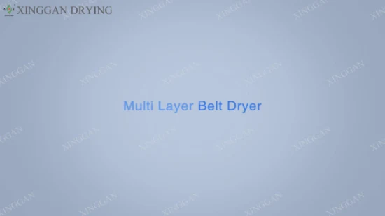 Continuous Mesh Multi-Layer Belt Drying Dryer Machine for Dehydrated Vegetables, Pellet Feed, Monosodium Glutamate, Desiccated Coconut, Synthetic Fiber, Corn